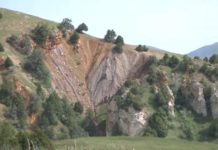 Запущена «горячая» линия по нарушениям в нацпарках Казахстана