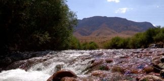 В ЮКО туристам за отдых на природе приходится платить дважды