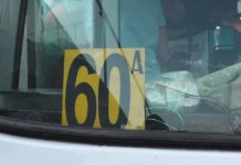 По вине водителя шымкентской транспортной компании жители остались без электричества