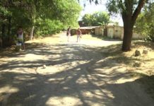 В Шымкенте жители Турланской экспедиции просят проложить дорогу возле школы