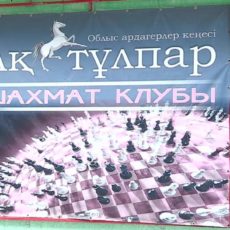 Вывеска шахматного клуба