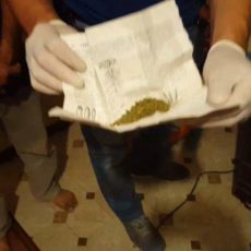 Полицейские Арыси задержали наркосбытчика Житель Толеби задержан с килограммом марихуаны