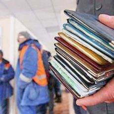 Сегодня в Шымкенте откроется Центр миграционных услуг
