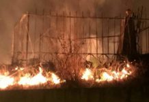 В Шымкенте горит старое кладбище