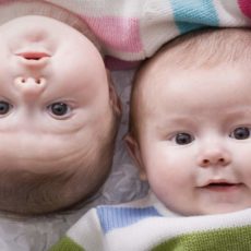 С начала 2016 года в ЮКО родилась 521 пара близнецов