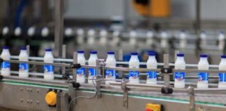 Завод по переработке верблюжьего молока планируется открыть в Туркестане