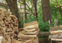 Фотозагадка с дровами и котом свела с ума пользователей интернета