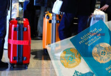 В Мактаарале мошенник обещал гражданство РК за деньги