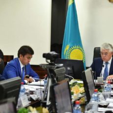 Продовольственный пояс и бренд «Оңтүстік экспорт» появятся в ЮКО
