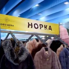 Эксклюзивные меховые изделия от мировых дизайнеров теперь в Шымкенте
