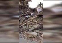 Международные эксперты назвали Шымкент самой сейсмоопасной зоной в РК