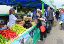 В Павлодаре прошла ярмарка сельхоз товаропроизводителей ЮКО