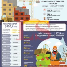 На чем зарабатывает Южно-Казахстанская область. Инфографика