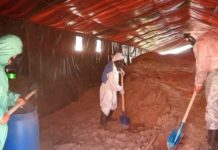 За пределы Шымкента вывозят ядовитые отходы