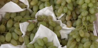 Из Туркестанской области в Екатеринбург не пустили 17 тонн винограда