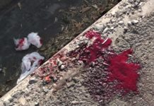 В Шымкенте ищут совершивших убийство в квартире