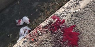 Трое участников шымкентской перестрелки с убийством находятся в розыске