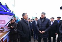 В Астане дни ЮКО стартовали художественной выставкой и сельхозярмаркой