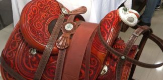 В Шымкенте продают седло стоимостью 3 миллиона