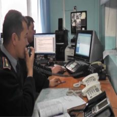Свыше 20 преступных групп ликвидировали полицейские ЮКО