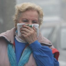 На улицах Шымкента стоит неимоверная вонь