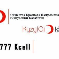 Открыт SMS-номер для сбора средств пострадавшим в стихийных бедствиях