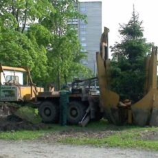 В Шымкенте 976 гектаров земель переведены в государственный лесной фонд