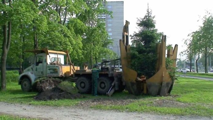 Шымкентский дендропарк приобрел супер-машину для пересадки деревьев