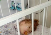 Один месяц остался у шымкентской девочки Виолы Балан, чтобы выжить