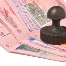 В Шымкенте востребовано апостилирование документов