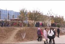 Юные жители микрорайона «Кайтпас-1» хотят бесплатно добираться до школы не по микрорайону