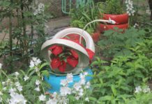 В Шымкенте стартовал конкурс «Чистый город». Не пропустите!