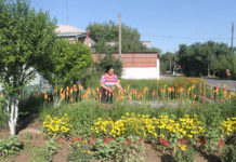 Где в Шымкенте найти лучшие дворы и улицы