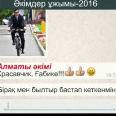 «Переписка» акимов Казахстана в чате WhatsApp