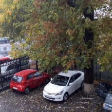 В Шымкенте пошел снег. С первым снегом, горожане!