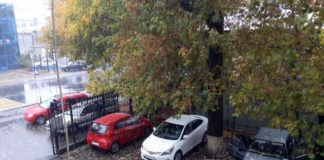 В Шымкенте пошел снег. С первым снегом, горожане!