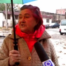 После первого осеннего дождя Шымкент затопило и завалило буреломом