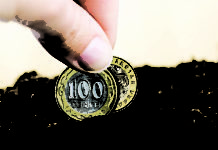 В Шымкенте с 21 октября начался прием заявок на сельхозсубсидии