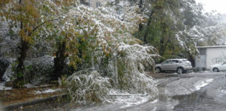 Настоящая зима ожидает шымкентцев в ближайшие дни