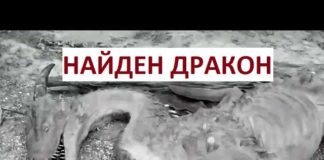 В ЮКО нашли яйцо настоящего дракона