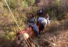 Гостям форума Ontustik Tourism-2016 показали заповедник ЮКО