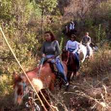 Гостям форума Ontustik Tourism-2016 показали заповедник ЮКО