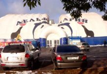 В Шымкенте из-за снега обвалилась крыша дельфинария