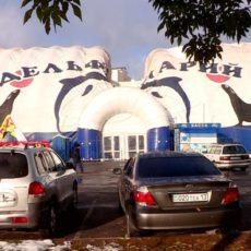 В Шымкенте из-за снега обвалилась крыша дельфинария