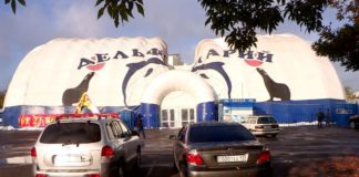 В Шымкенте из-за снега обвалилась крыша дельфинария