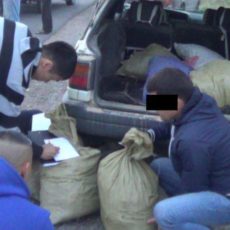 90 килограммов марихуаны изъяли полицейские ЮКО у четверых мужчин