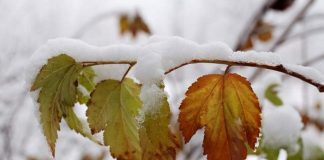 Консультативный прогноз погоды на декабрь озвучили синоптики