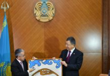 Сферу «зеленой» энергетики в ЮКО будут развивать в рамках программы ООН