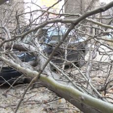 В Шымкенте подсчитывают убытки от вчерашней непогоды