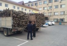 В ЮКО за трое суток ОПМ «Браконьер» полицейские выявили свыше 50 правонарушений